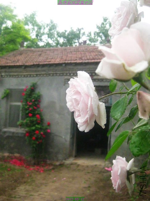 nEO_IMG_��Ƭ 222.jpg