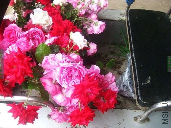 nEO_IMG_��Ƭ 224.jpg