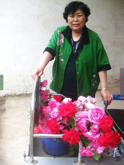 nEO_IMG_��Ƭ 225.jpg