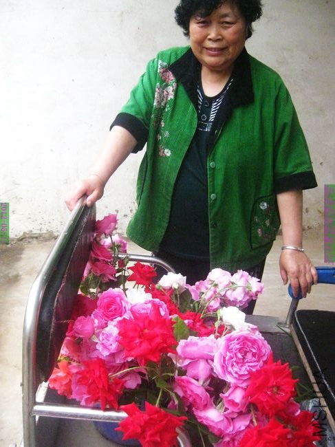 nEO_IMG_��Ƭ 226.jpg