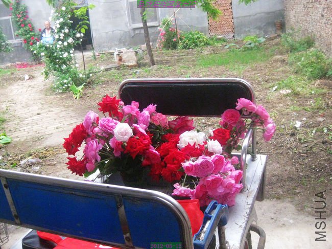 nEO_IMG_��Ƭ 227.jpg