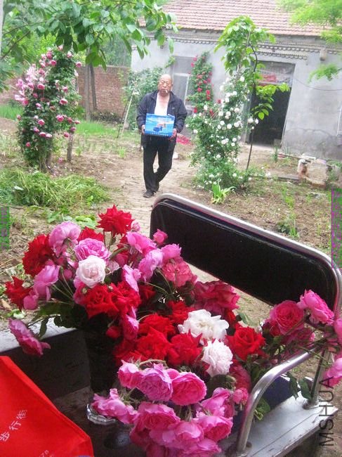 nEO_IMG_��Ƭ 228.jpg