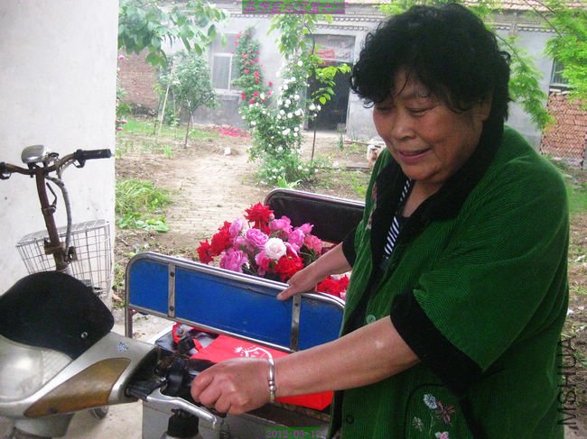 nEO_IMG_��Ƭ 230.jpg