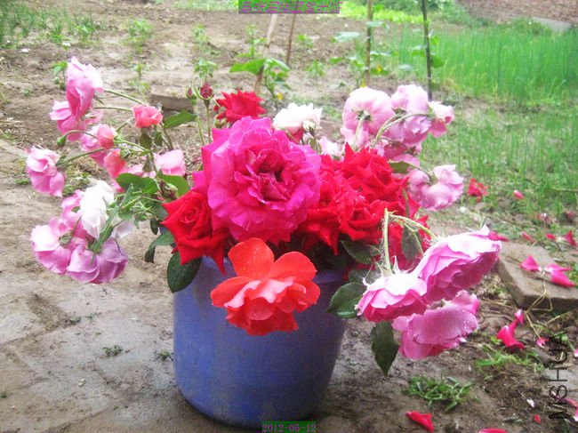 nEO_IMG_��Ƭ 207.jpg