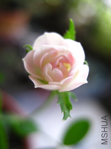 IMG_6123.jpg