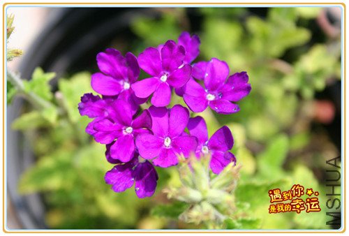 ��Ƭ 070_����.jpg