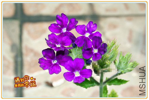 ��Ƭ 073_����.jpg