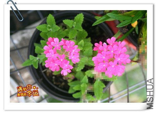 ��Ƭ 078_��ת_����.jpg