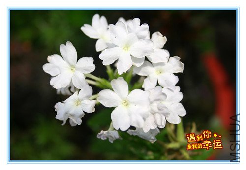 ��Ƭ 109_����.jpg