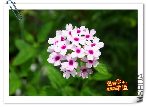 ��Ƭ 133_����.jpg