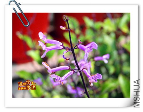 ��Ƭ 112_����.jpg