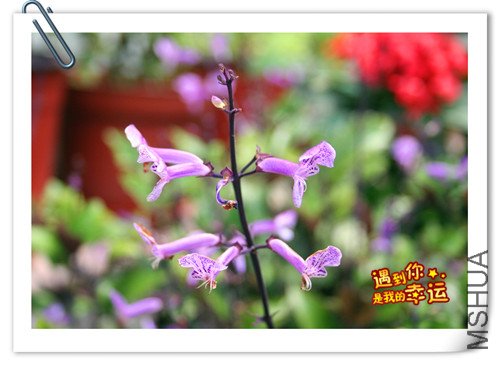 ��Ƭ 114_����.jpg