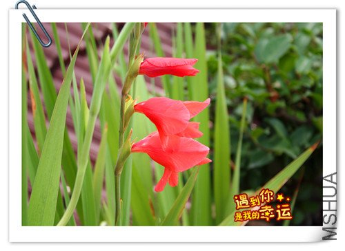 ��Ƭ 063_����.jpg