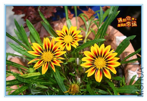 ��Ƭ 139_����.jpg