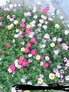 181250xwq7f7xwg4rwfqrz.jpg