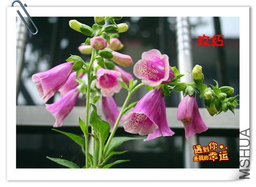 ��Ƭ 125_����.jpg