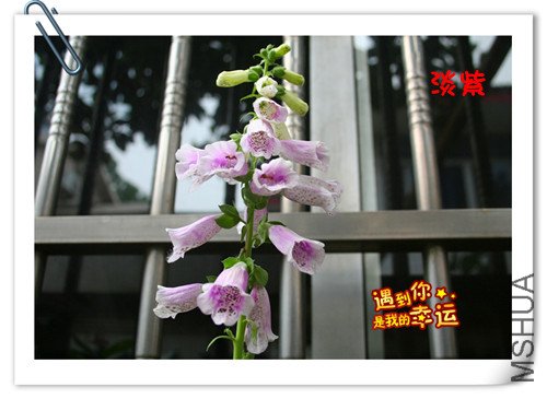 ��Ƭ 126_����.jpg