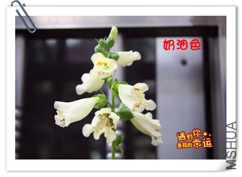 ��Ƭ 129_����.jpg