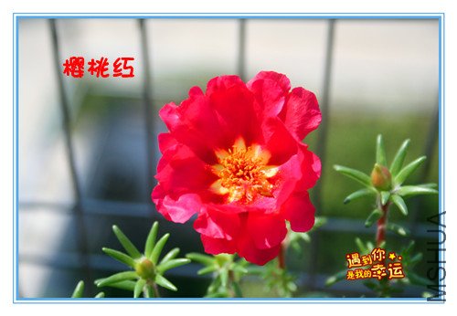 ��Ƭ 015_����.jpg