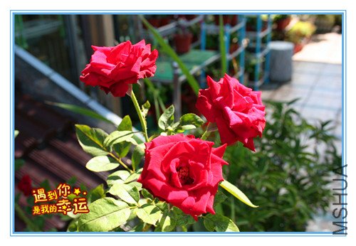 ��Ƭ 068_����.jpg