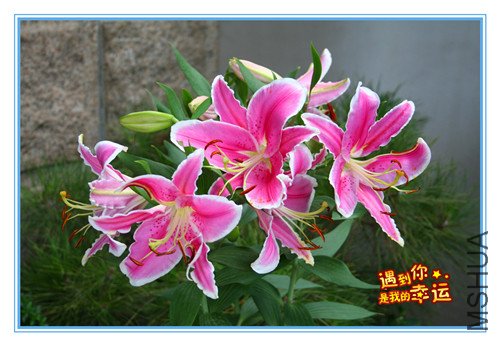 ��Ƭ 005_����.jpg