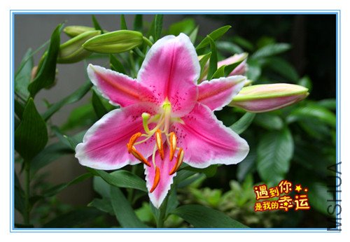 ��Ƭ 033_����.jpg