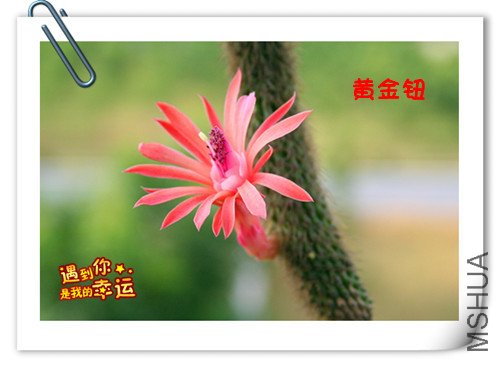 ��Ƭ 053_����.jpg