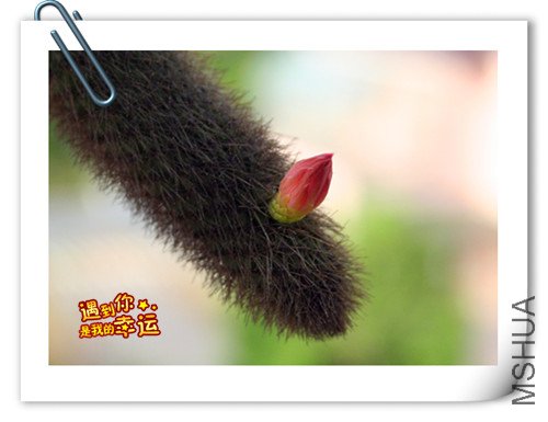 ��Ƭ 055_����.jpg