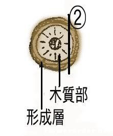 1-9.jpg