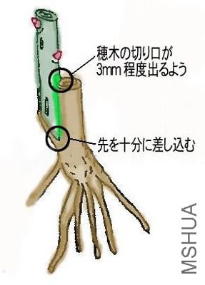 1-14.jpg