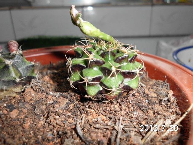 �յ���ʱ���и������������