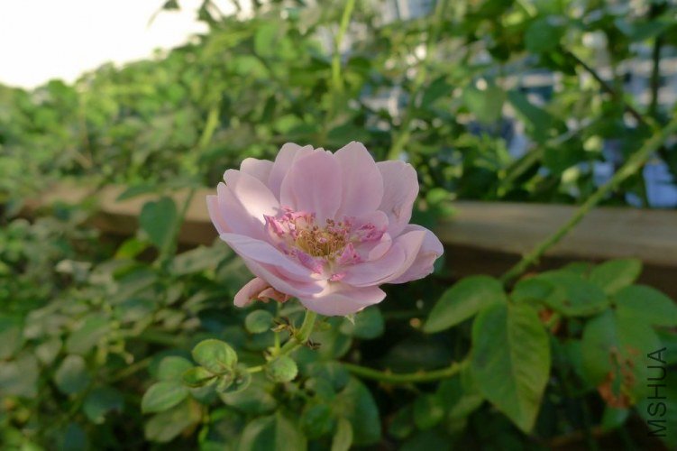 P1060442.JPG