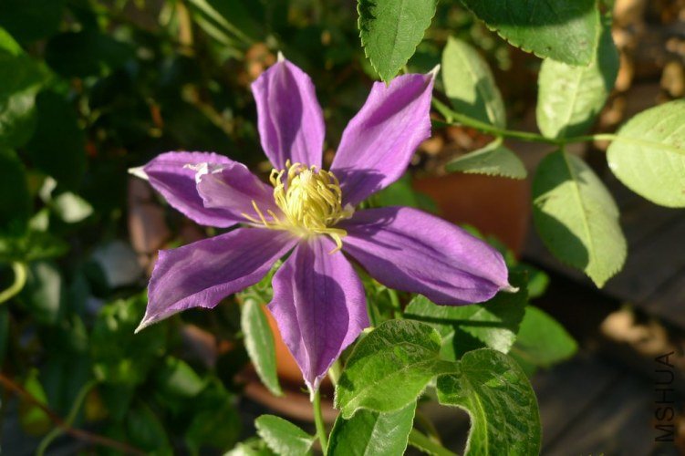 P1060443.JPG