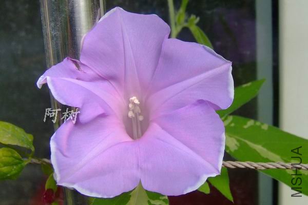 ԫ���� 2012-0713(029).jpg