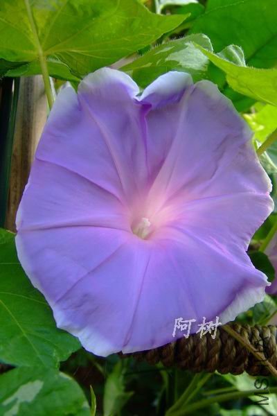 ���� 2012-0714(006).jpg