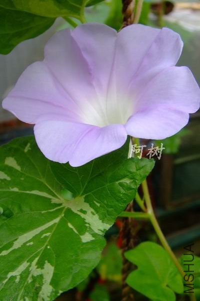 ���� 2012-0719(012).jpg