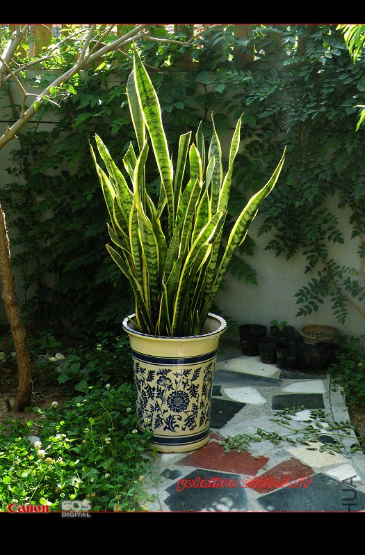 2009.6.1 016.jpg
