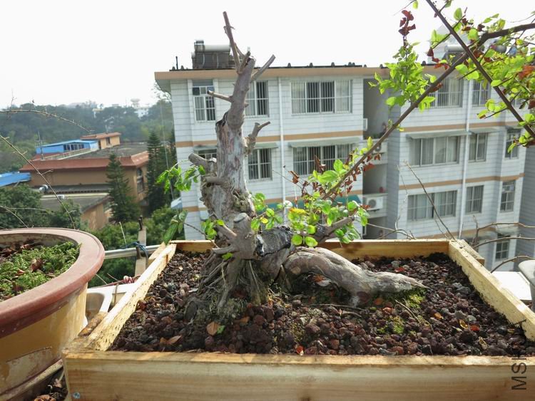 0-4.jpg
