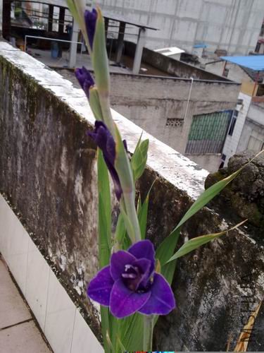 ������С 201208173173.jpg