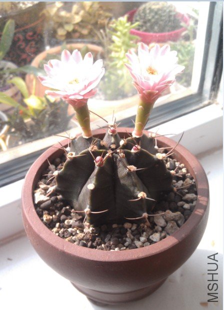 QQ��ͼ20120817170214.jpg