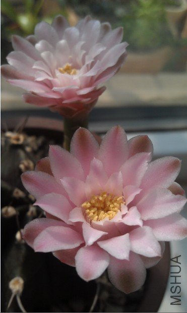 QQ��ͼ20120817170228.jpg