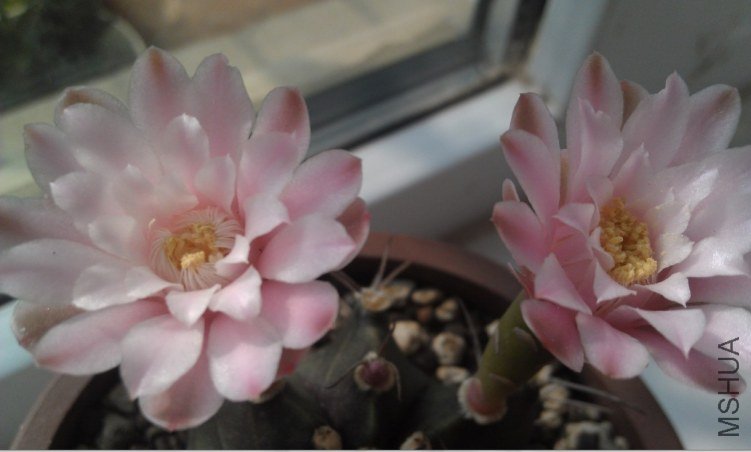 QQ��ͼ20120817170252.jpg