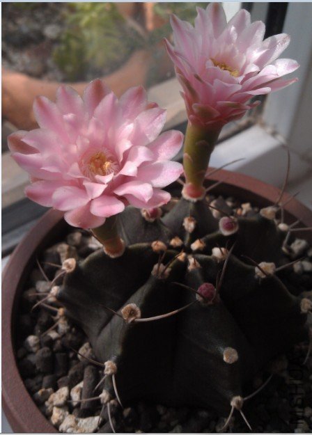 QQ��ͼ20120817170319.jpg