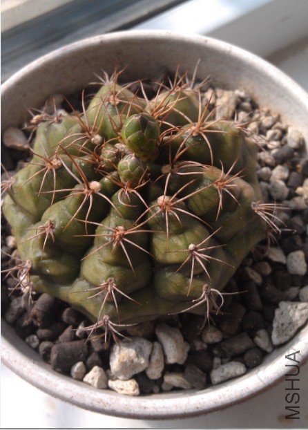 QQ��ͼ20120817170330.jpg