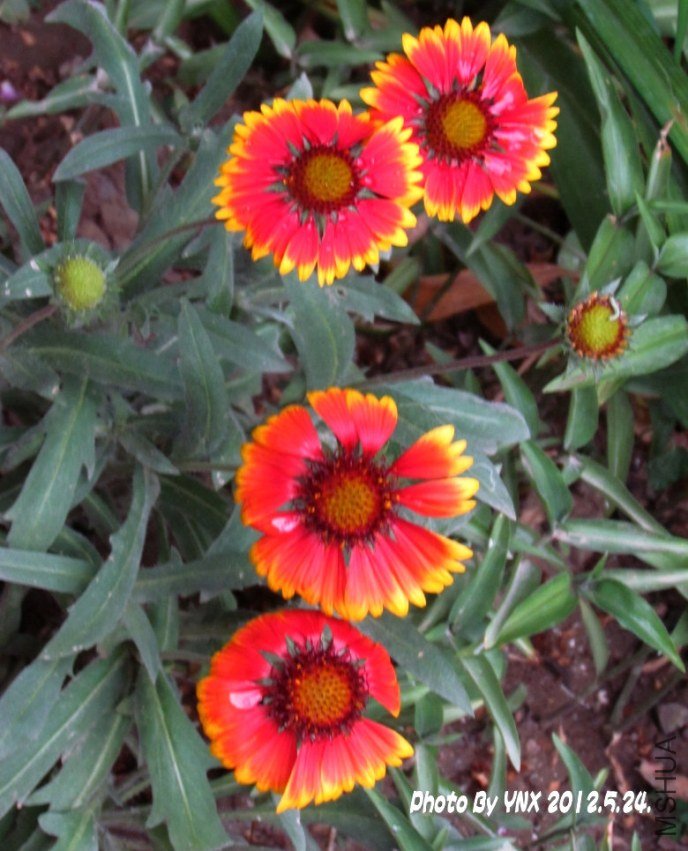 2012.5.24. 059_conew1.jpg