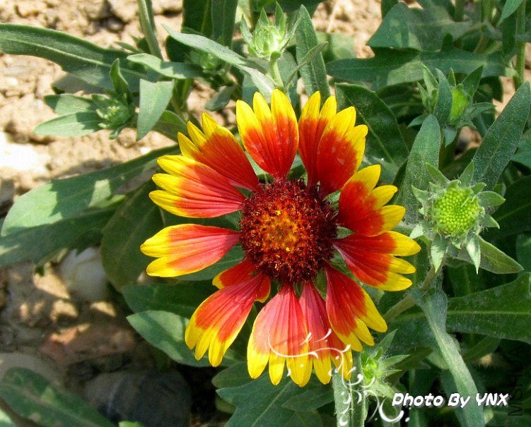 2011.5.28. 024_conew1_����.jpg