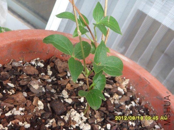 QQ��ͼ20120818093846.jpg