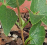 QQ��ͼ20120818093908.jpg