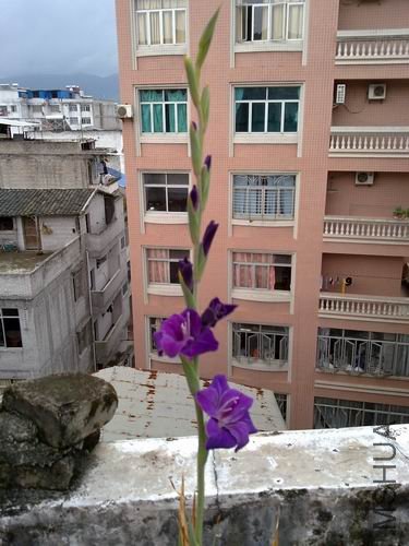 �õ�����һ��