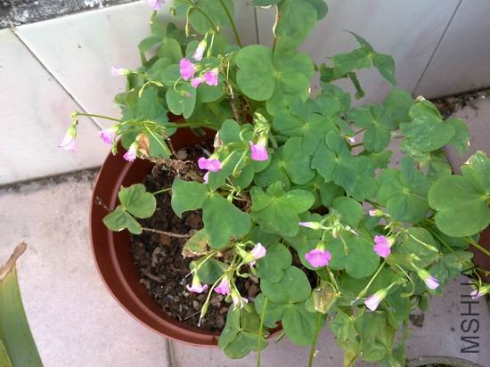 һ����ʮ��cm����ռ�˴��